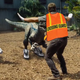 Illustration for article titled Jurassic World Just Got Weird/Awesome